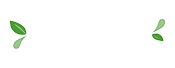 Coco Choo